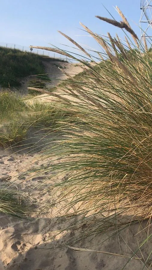 Studio Pipper Zandvoort